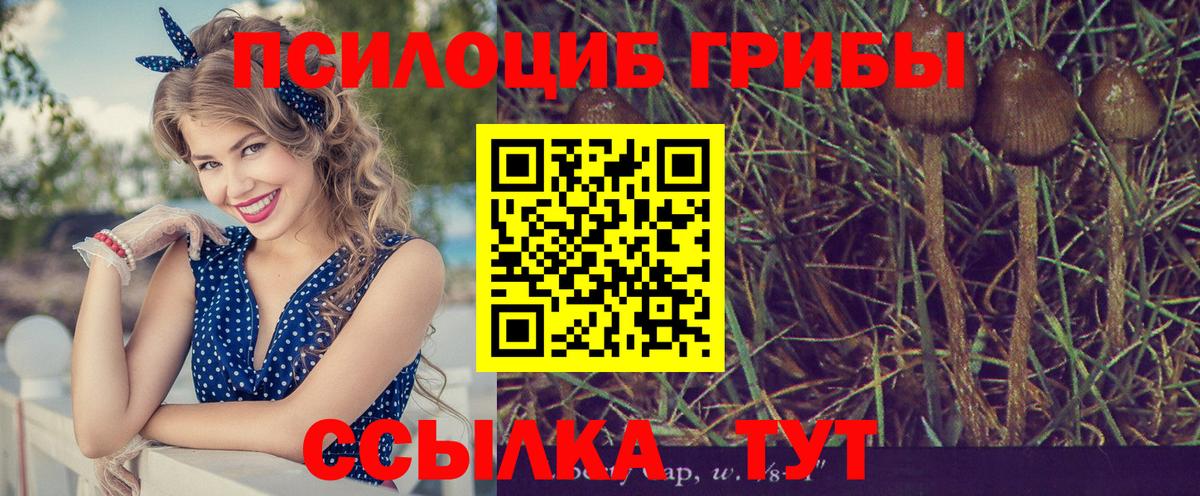 Фролово  Галлюциногенные грибы мицелий  Вход с VPN  Псилоцибиновые грибы Magic Shrooms 