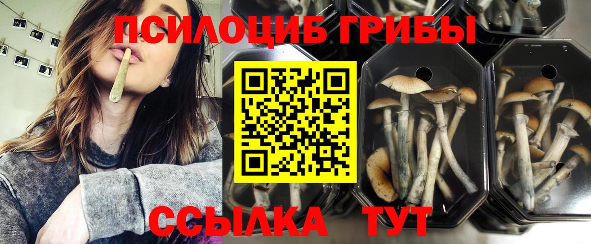 Галлюциногенные грибы MAGIC MUSHROOMS Фролово